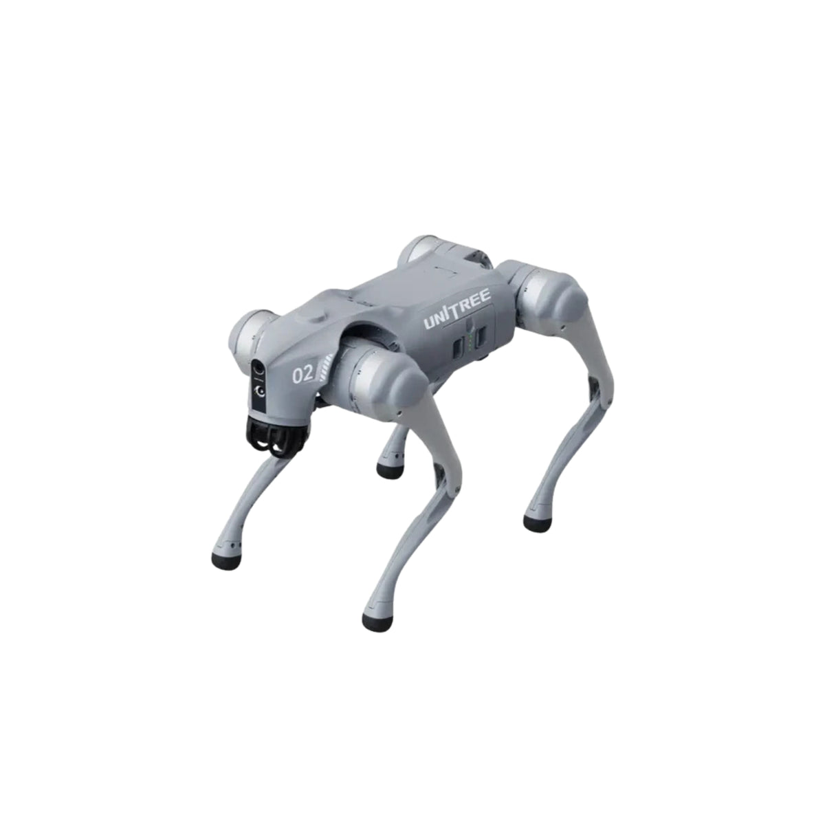 Unitree Go2 Quadruped Robot